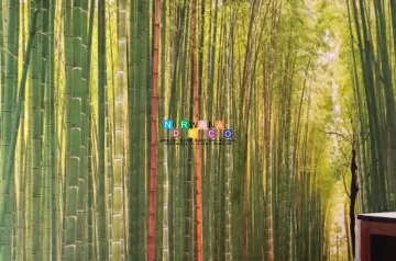 Pemasangan Wallpaper Custom Di Jalan Villa Cempaka Mulia 1