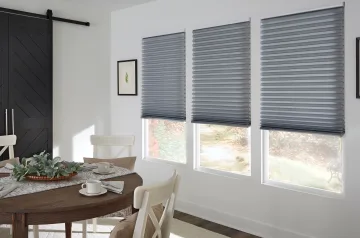 Honeycomb Blinds